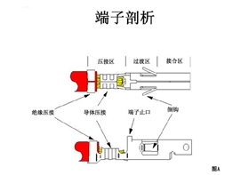 端子剖面